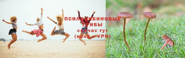 твердый Волосово