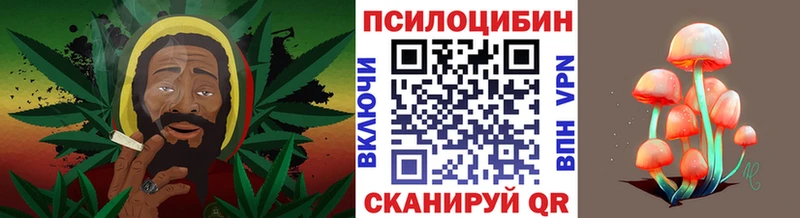 Псилоцибиновые грибы мицелий  Гдов 