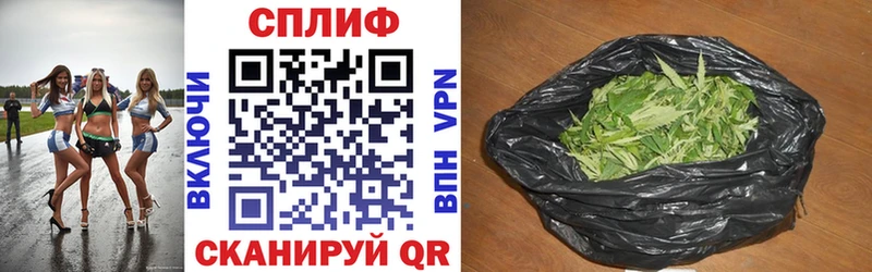 Бошки марихуана ГИДРОПОН Гдов